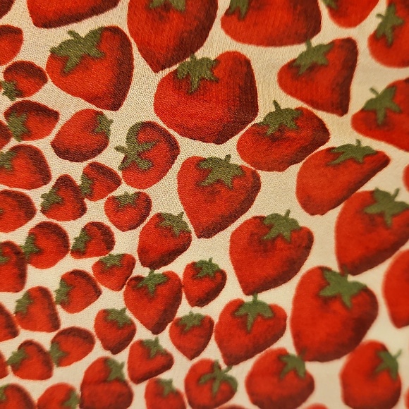 💕J.CREW💕 Gwyneth Pleated Skirt Chiffon ~ Vintage Red Strawberry Print Large - Picture 14 of 16